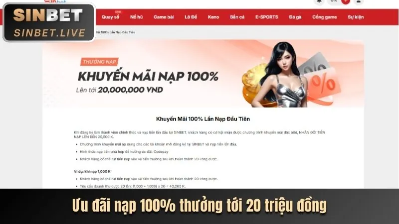 Hoàn Trả Thể Thao bayvip bet